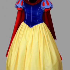 Princess Snow White Blue & Yellow Costume Size M For Rent | RentSmart Asia | Renting Is The New Buying