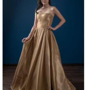 Royal Champagne Gown (Designer collection) | Clothing & Accessories | RentSmart Asia | Renting Is The New Buying