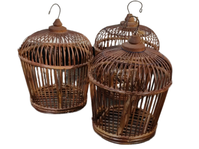 Small Bird Cage For Rent